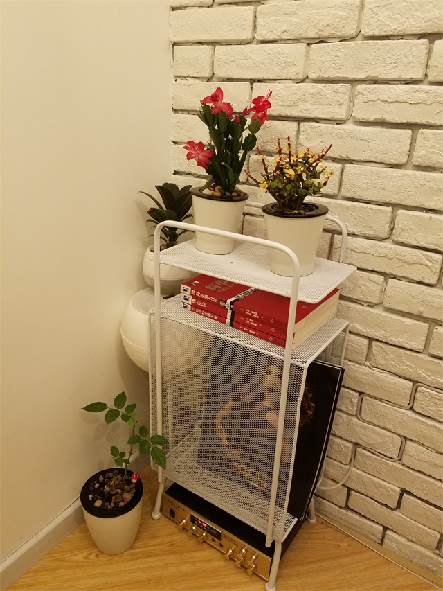 20170326_233248.jpg
