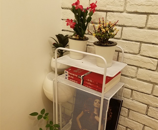 20170326_233248_看图王.jpg